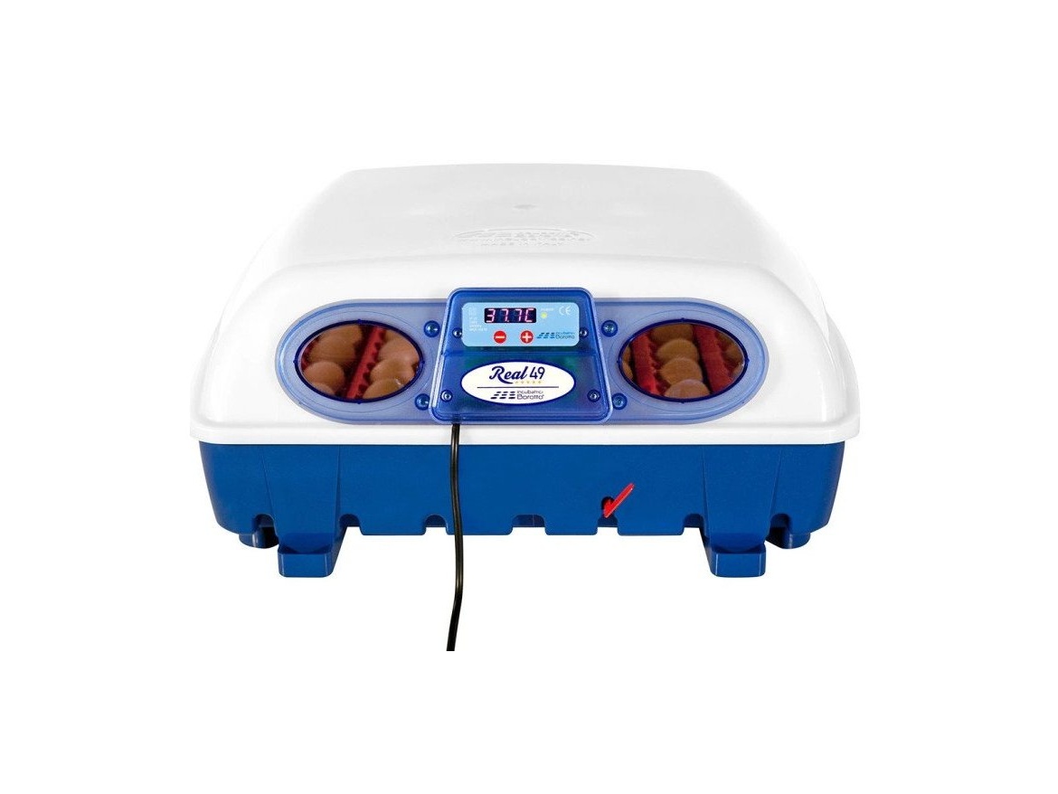 Scobax Líheň na vejce BOROTTO REAL 49