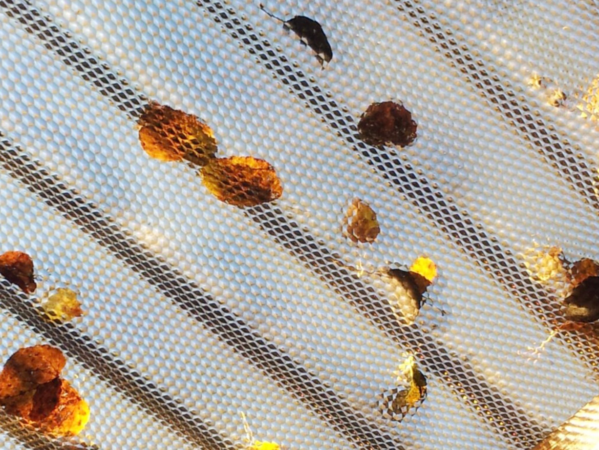 Polykarbonátová vlnitá deska Brett Martin Marlon CSE Diamond