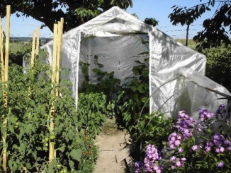 Príslušenstvo pre Scobax Fólie na foliovník Growspot Cannabo 4