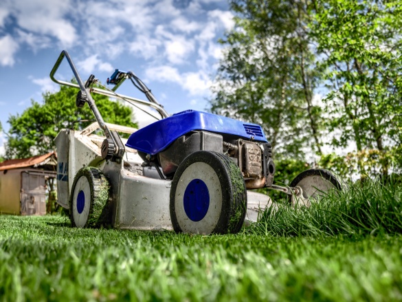 Ako založiť nový trávnik