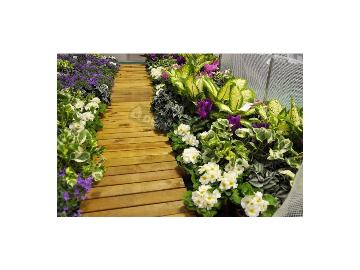 VespaGarden Zahradní fóliovník VESPAGARDEN 2x3,5m extra silný - zelený