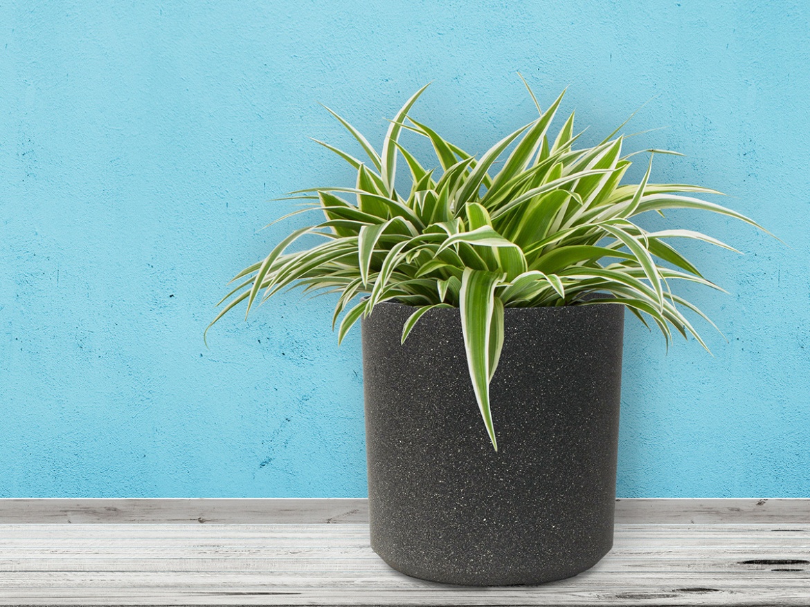 Industrial Cork G21 Květináč