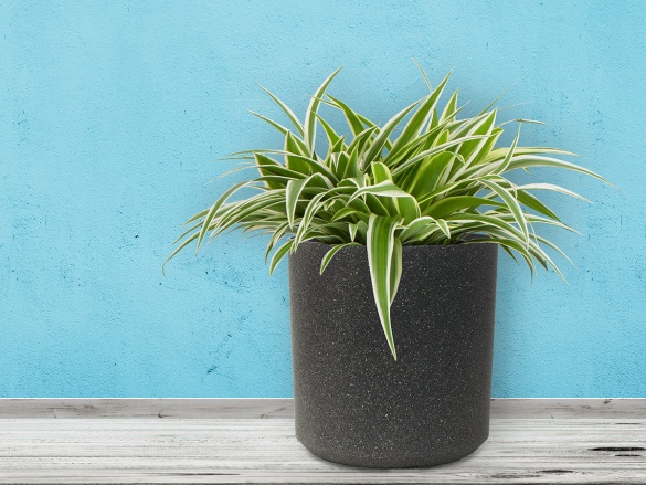 Industrial Cork G21 Květináč