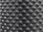 Tegola Nopová fólie Blackstar