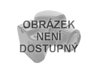 Fafeldolgozás –  Riwall PRO Pilový řetěz 3/8" 1,1mm ( lišta 8" ) 33 článků