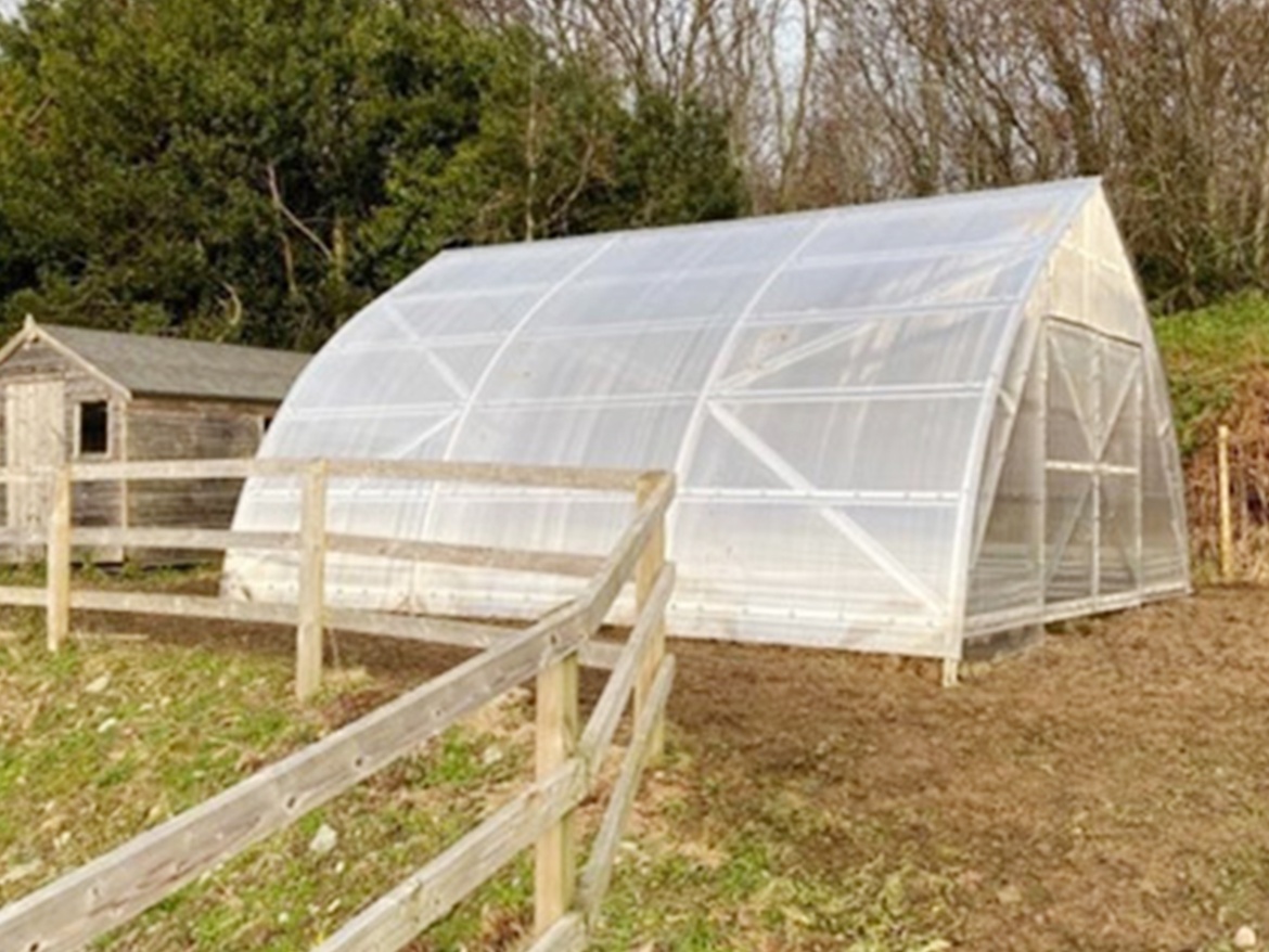 Volya Farmer Strelka