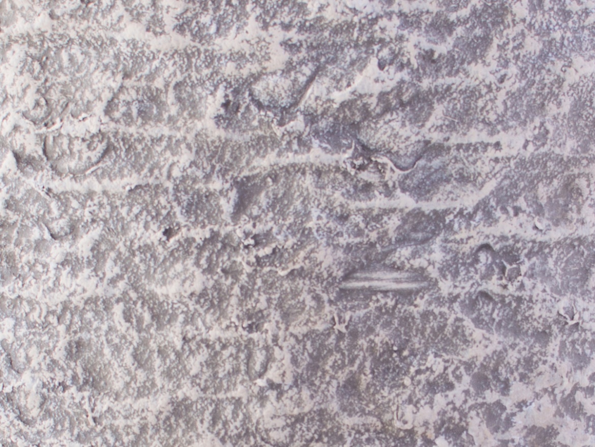 G21 Květináč Natur Tube