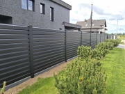 Kerítéspanel Scobax Rhombus