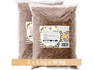 Mačky – Scobax Moučný červ 10 kg