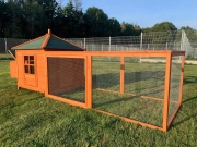 Tyúkól Scobax Oscar