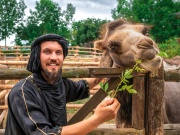 Polykarbonát vs. ťava, traktor a…