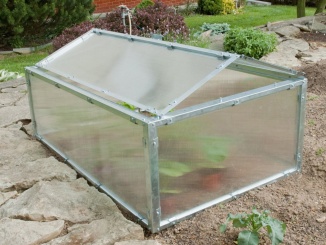 Pestovanie –  Limes SP 5