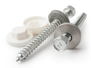 Vrut s plastovou krytkou Gutta