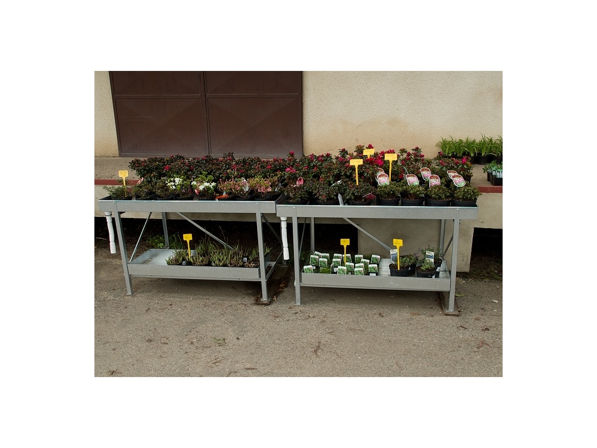 Pěstební stůl Scobax Kuma