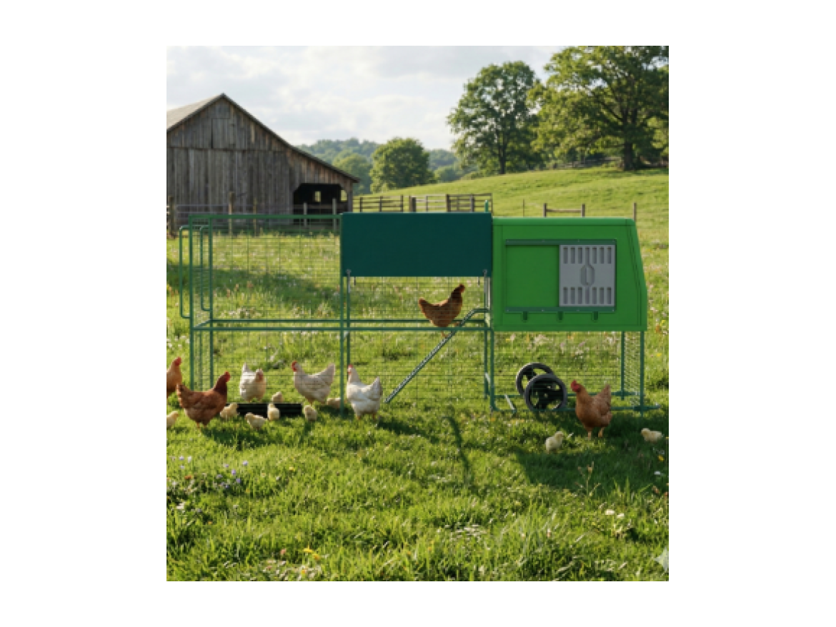Kurník Scobax Mobilní kurník pro slepice GAUN 10375 - THE EGG PALACE