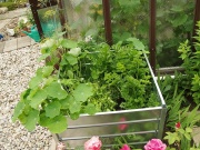 Limes Vyvýšený záhon VZ