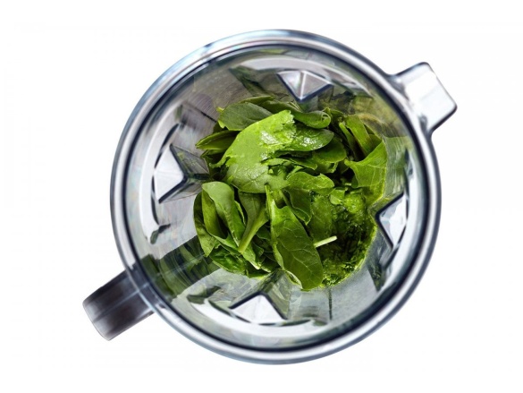 G21 Blender  Excellent brown