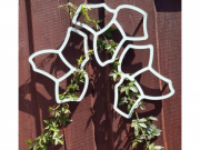 Tessa Flower opora pro rostliny ECOO