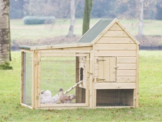 Csirkeólak –  Tuindeco Wyandotte