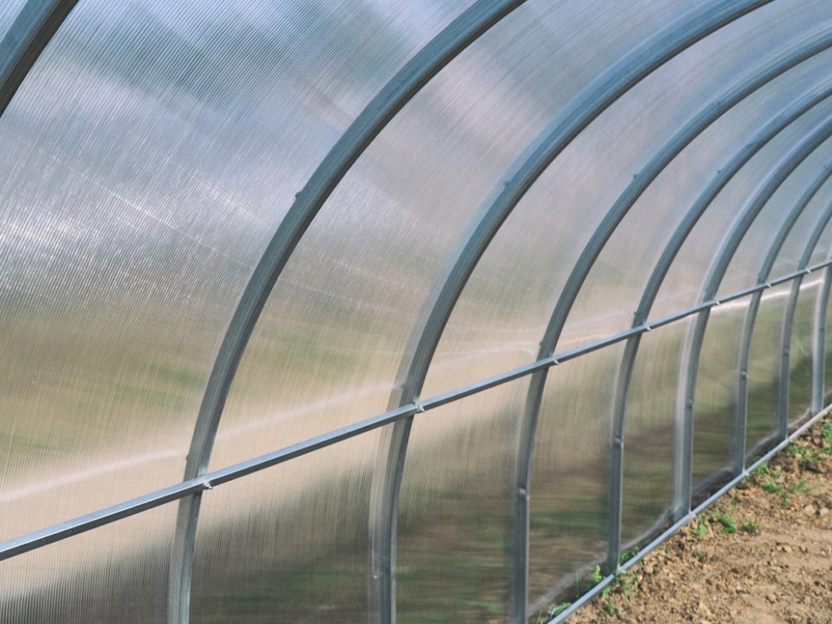 Skleník Scobax Smarty