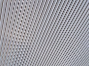 Polykarbonátová deska Gutta Guttagliss Zebra 16 mm