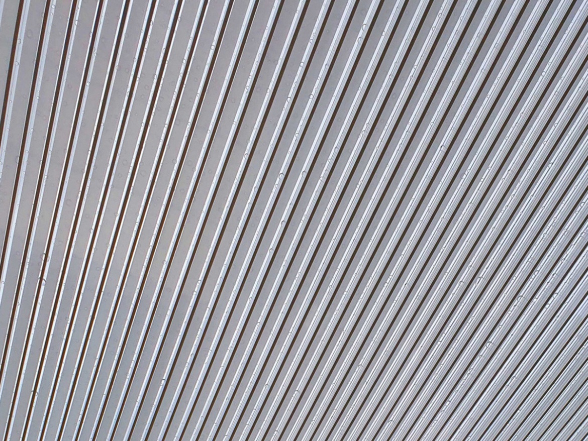 Polykarbonátová doska Gutta Guttagliss Zebra 16 mm