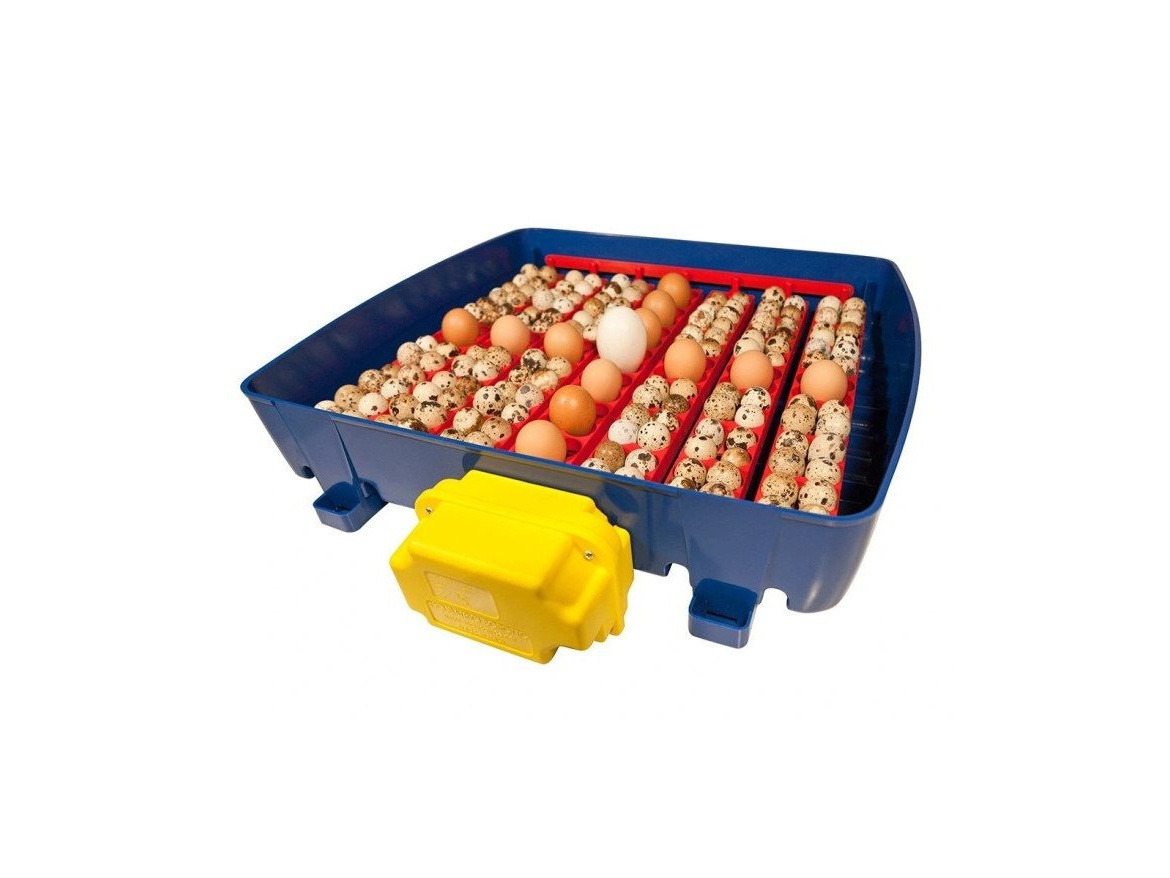 Scobax Plně automatická líheň na vejce BOROTTO REAL 49 EXPERT