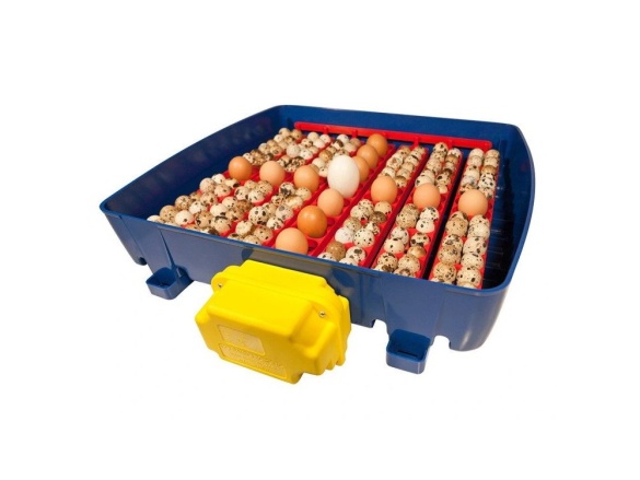 Scobax Plně automatická líheň na vejce BOROTTO REAL 49 EXPERT