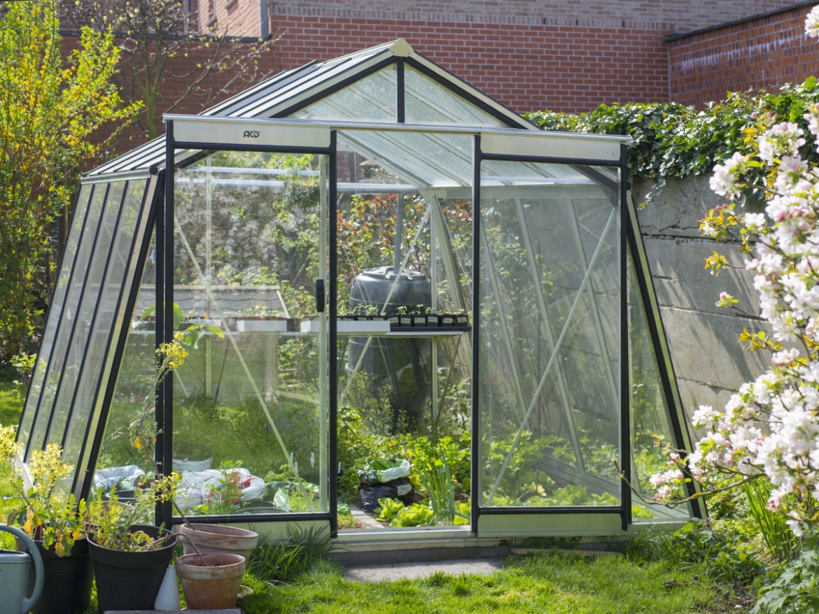 Skleník ACD Prestige S1
