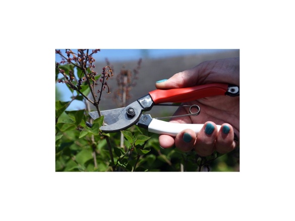 Záhradné nožnice pre veľké ruky 104
