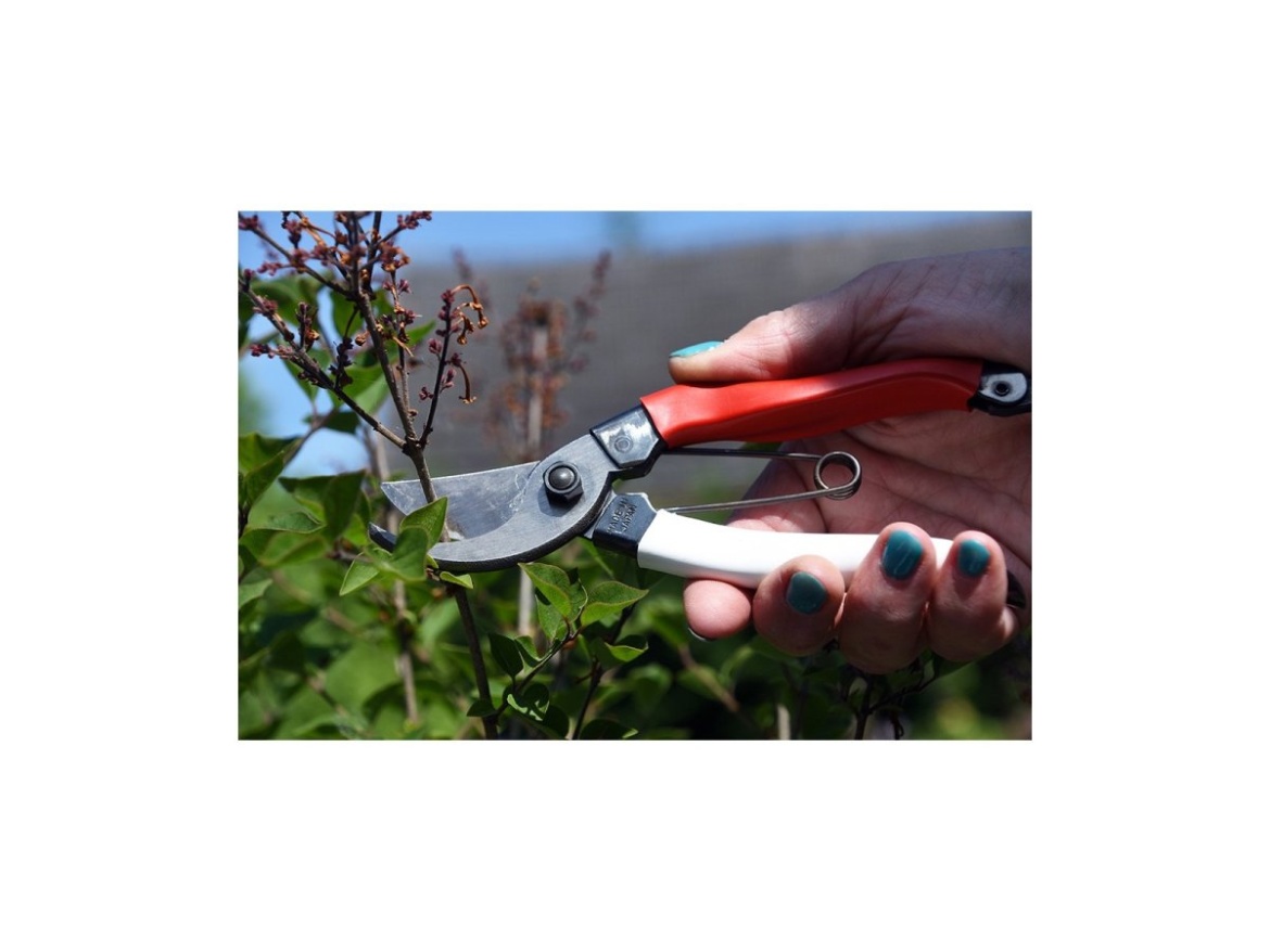 Zahradní nůžky pro velké ruce 104