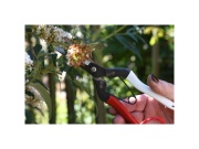 Egyenes pengéjű metszőolló 306