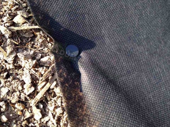 Bradas Plastové kolíky pro agrotextílie 15cm /100ks