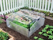 Sedem dôvodov prečo povedať áno parenisku