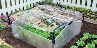 Sedem dôvodov prečo povedať áno parenisku