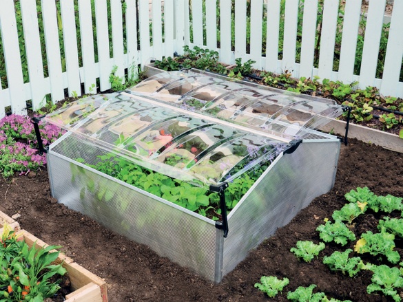 Sedem dôvodov prečo povedať áno parenisku