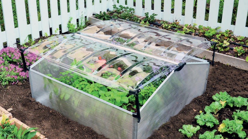 Sedem dôvodov prečo povedať áno parenisku