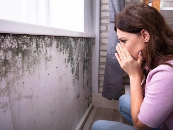 Vybíráme izolaci: Jak zvolit tu správnou?