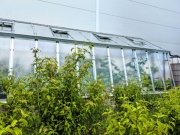 Skleník ke zdi Limes Variant E