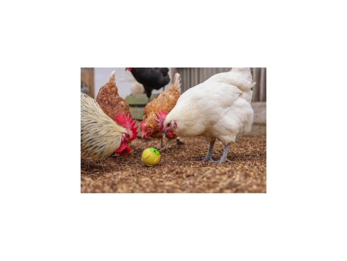 Scobax Krmítko pro drůbež - míček na zrní pro slepice, 7,5 cm