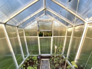 Üvegház Scobax Korunka