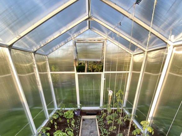 Üvegház Scobax Korunka