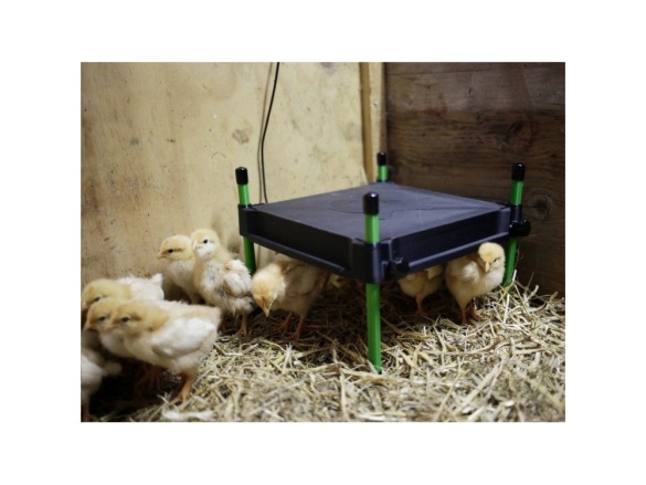Scobax Umělá kvočna s termostatem KERBL COSYHEAT (30×30 nebo 40×50)