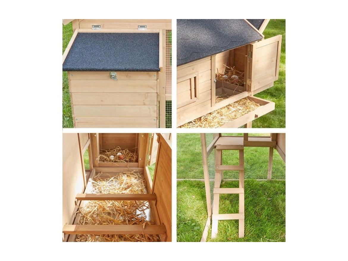 Kurník Scobax Brooks