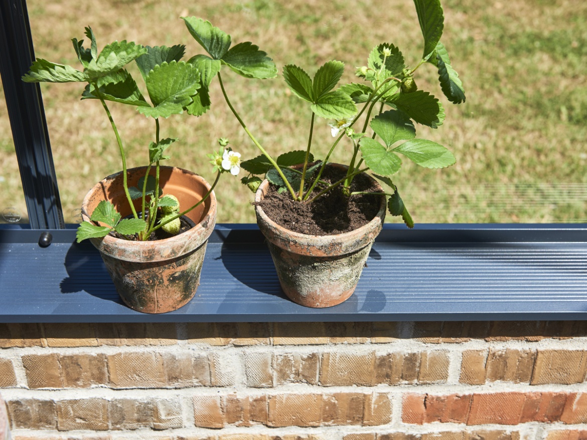 Skleník Juliana Premium On-wall