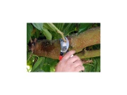 Zahradní nůžky pro malé ruce 101