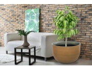 G21 Květináč  Terra Bold 55 x 55 x 36,5