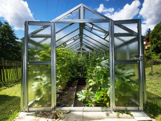 Üveg –  Limes Dvoukřídlové dveře Variant