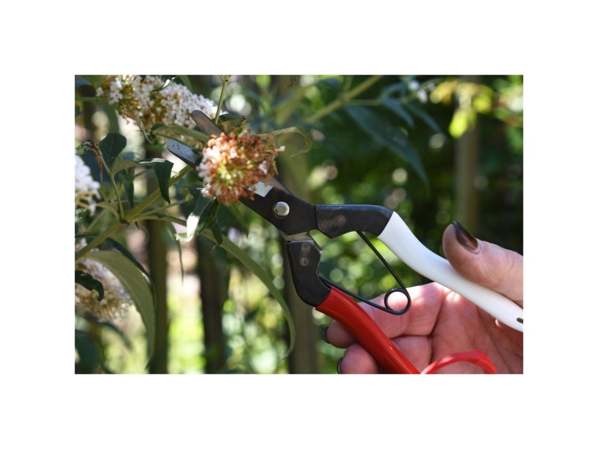 Zastřihovací nůžky s krátkými čepelemi 307