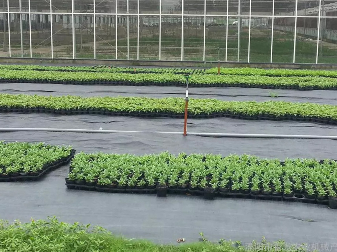 Mulčovací textílie s pruhy Covernit